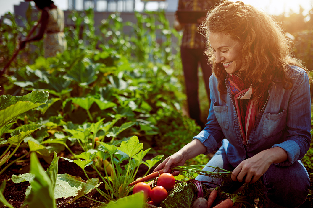 Urban Gardening: Trend zum Gartenbau in der Stadt